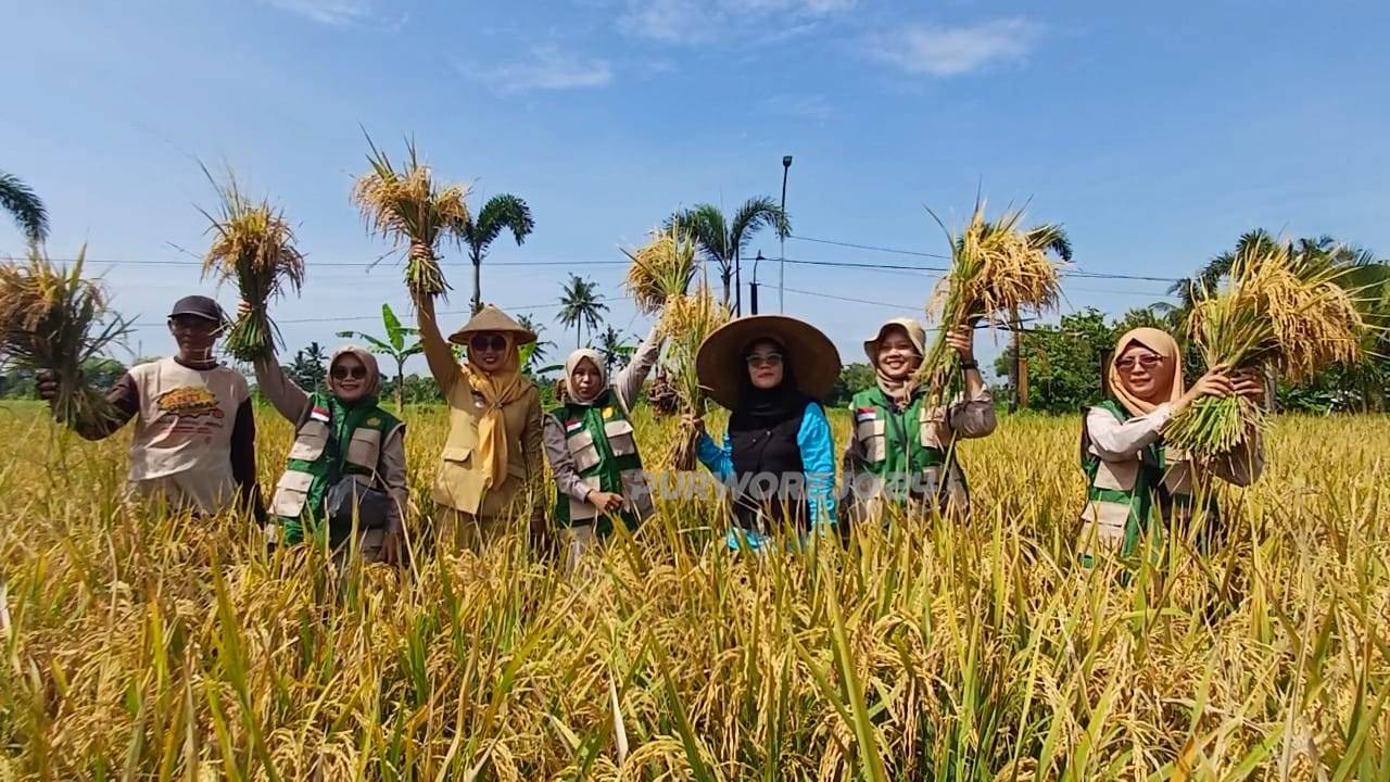 Saat kegiatan panen raya di Desa Kalimiru