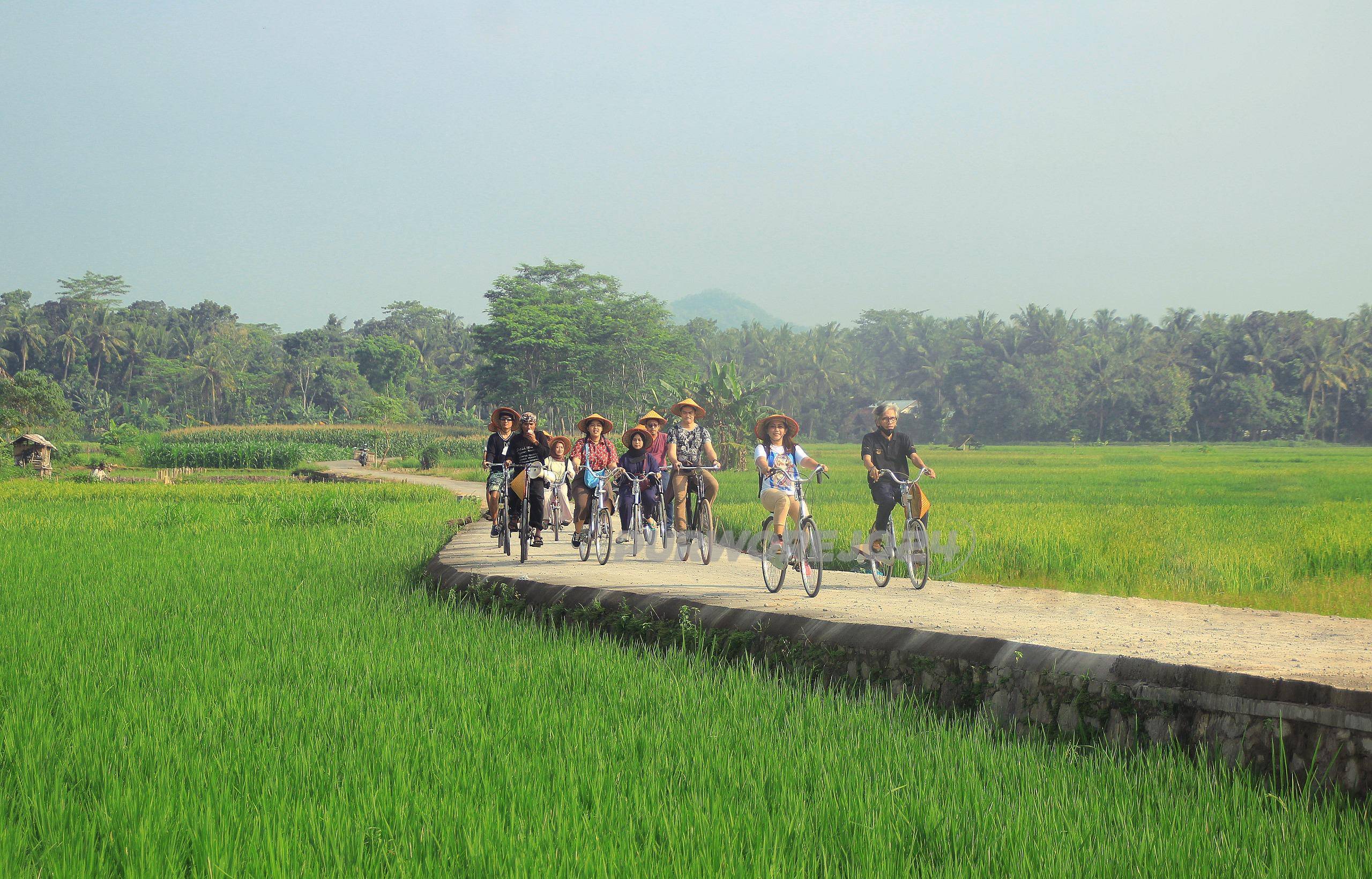 Alam Kulon Progo