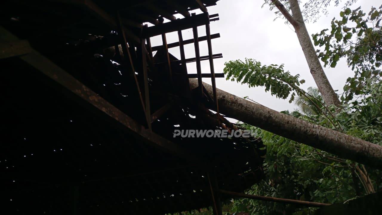 Rumah warga yang tertimpa pohon