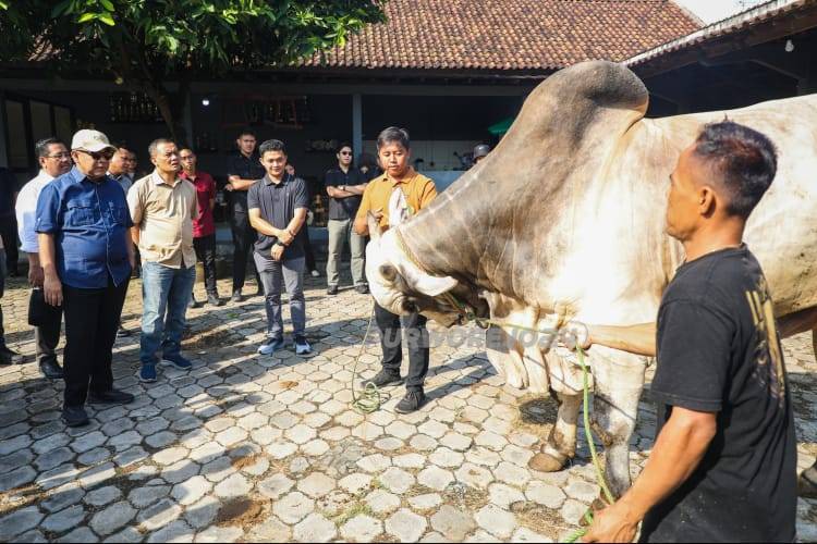 Kunjungan di peternakan Berkah Setia Farm