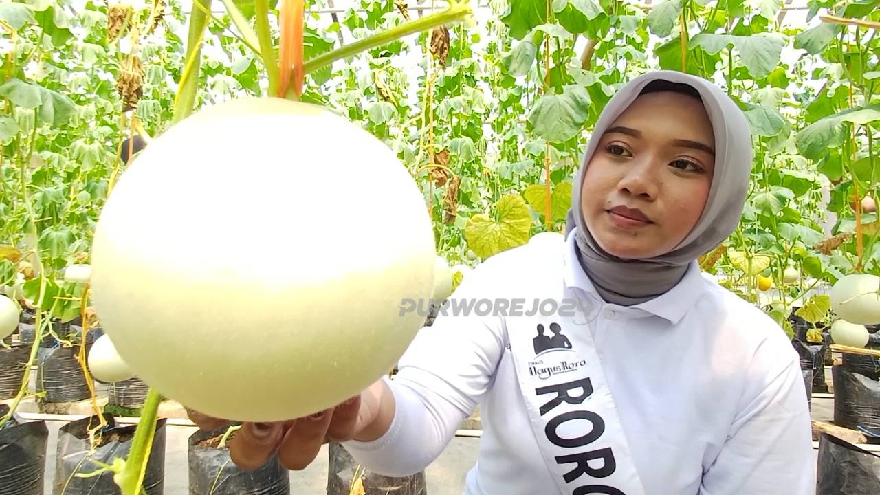Finalis Bagus Roro saat berkunjung di Demaji Melon Garden, pada Jumat (15/5/2026)