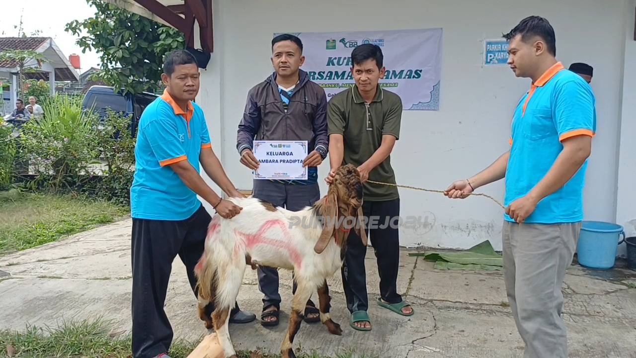 Kegiatan penyembelihan hewan kurban di Kecamatan Gebang, pada Kamis (28/5/2026)