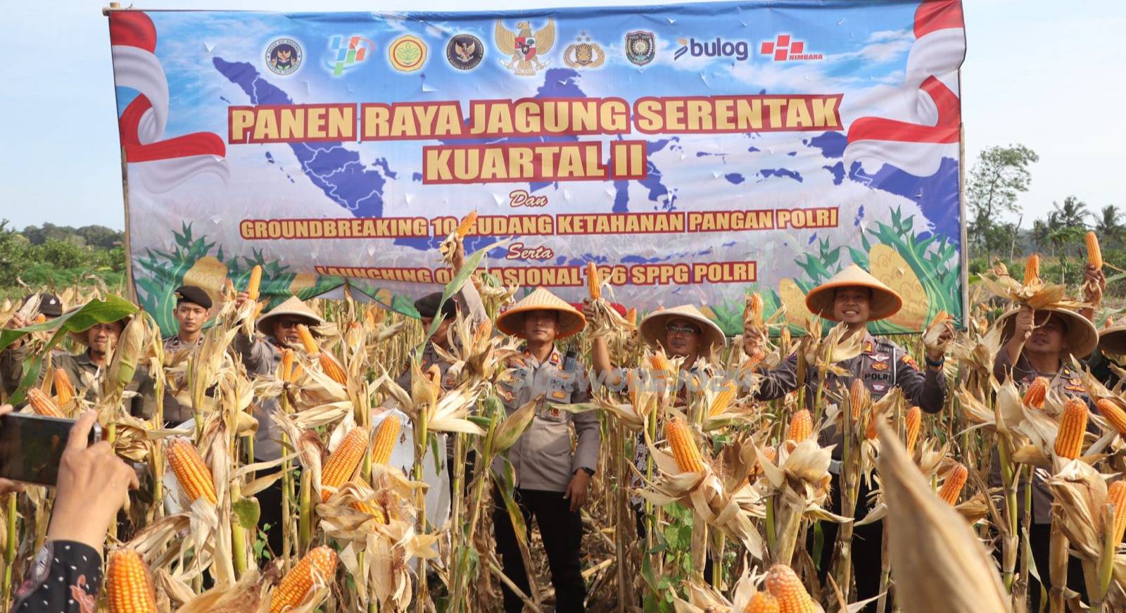Saat kegiatan panen