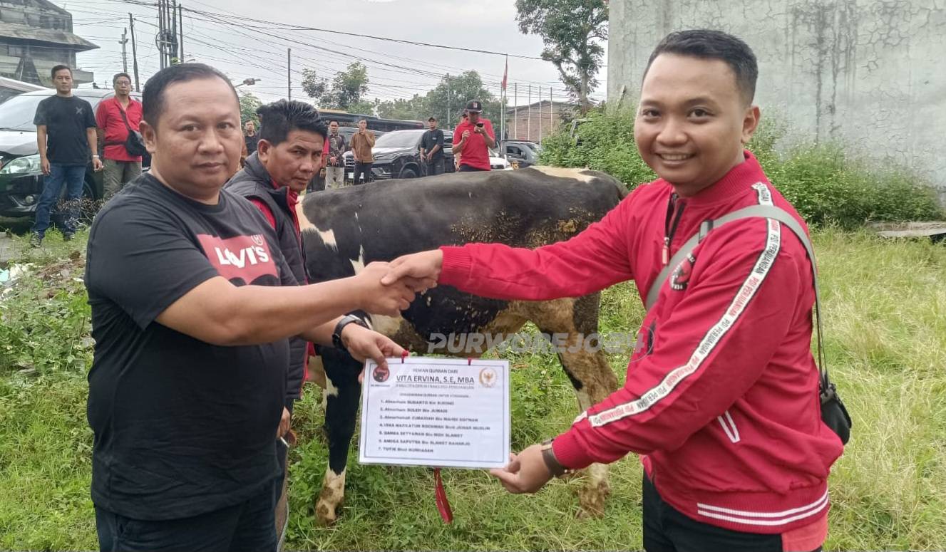 Penyaluran hewan kurban