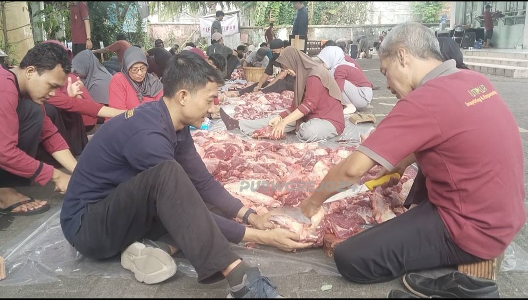 Suasana kegiatan pemotongan daging kurban di UMPWR, pada Kamis (28/5/2026)
