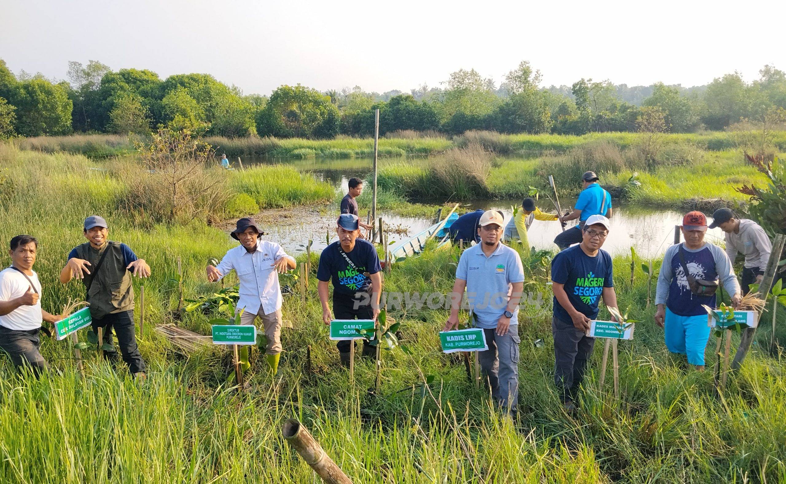 Penanaman 350 bibit mangrove di Desa Malang, Kecamatan Ngombol, Sabtu (6/6/2026).