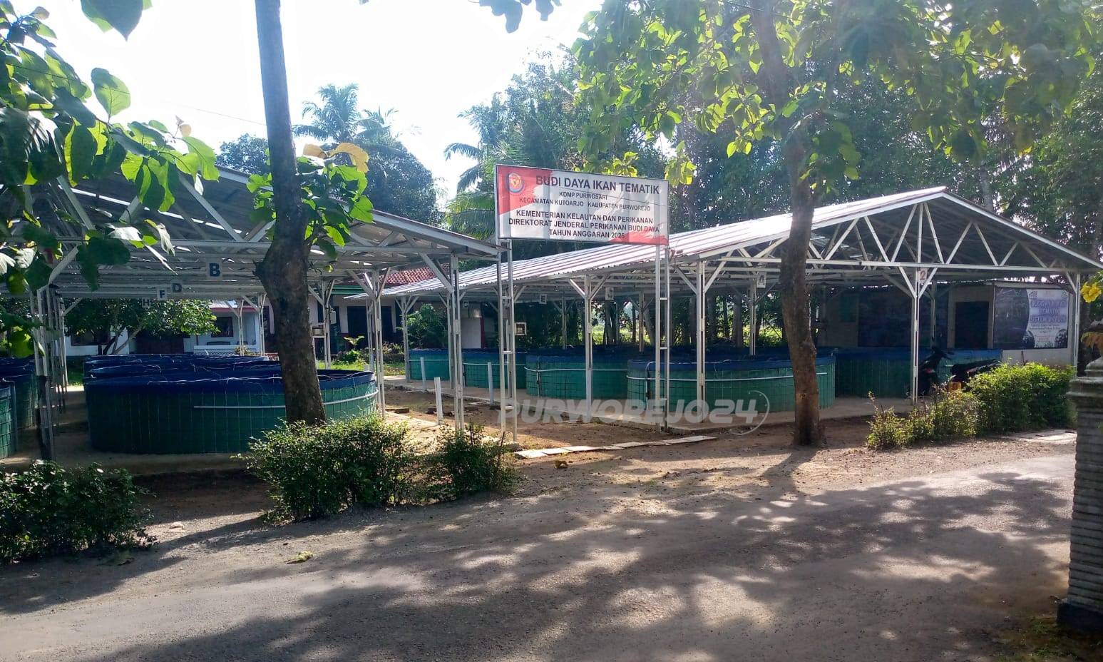 Budidaya Ikan Tematik Bioflok di Purwosari