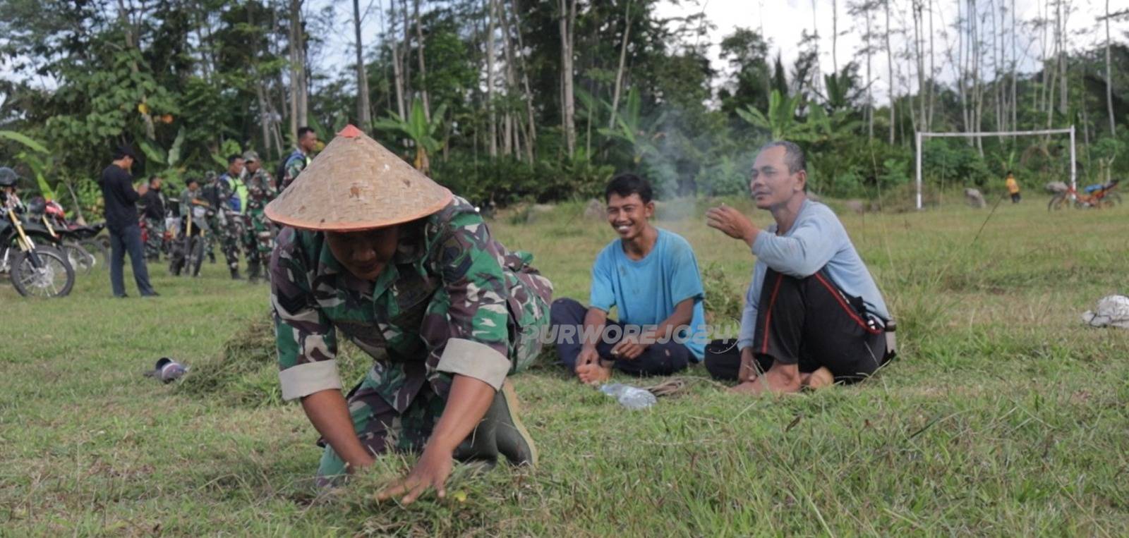 Anggota TNI bantu warga mencari rumput
