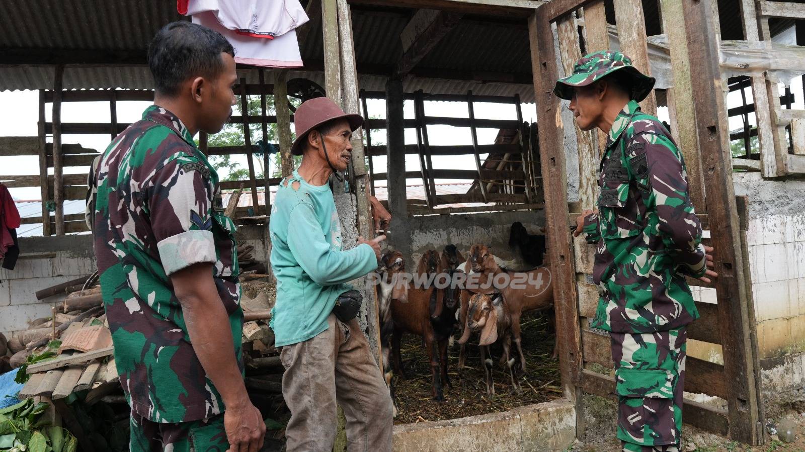 Dilokasi kandang kambing