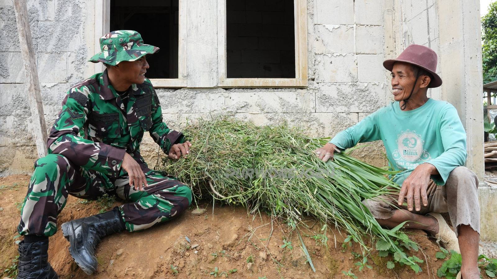 Dilokasi kandang kambing