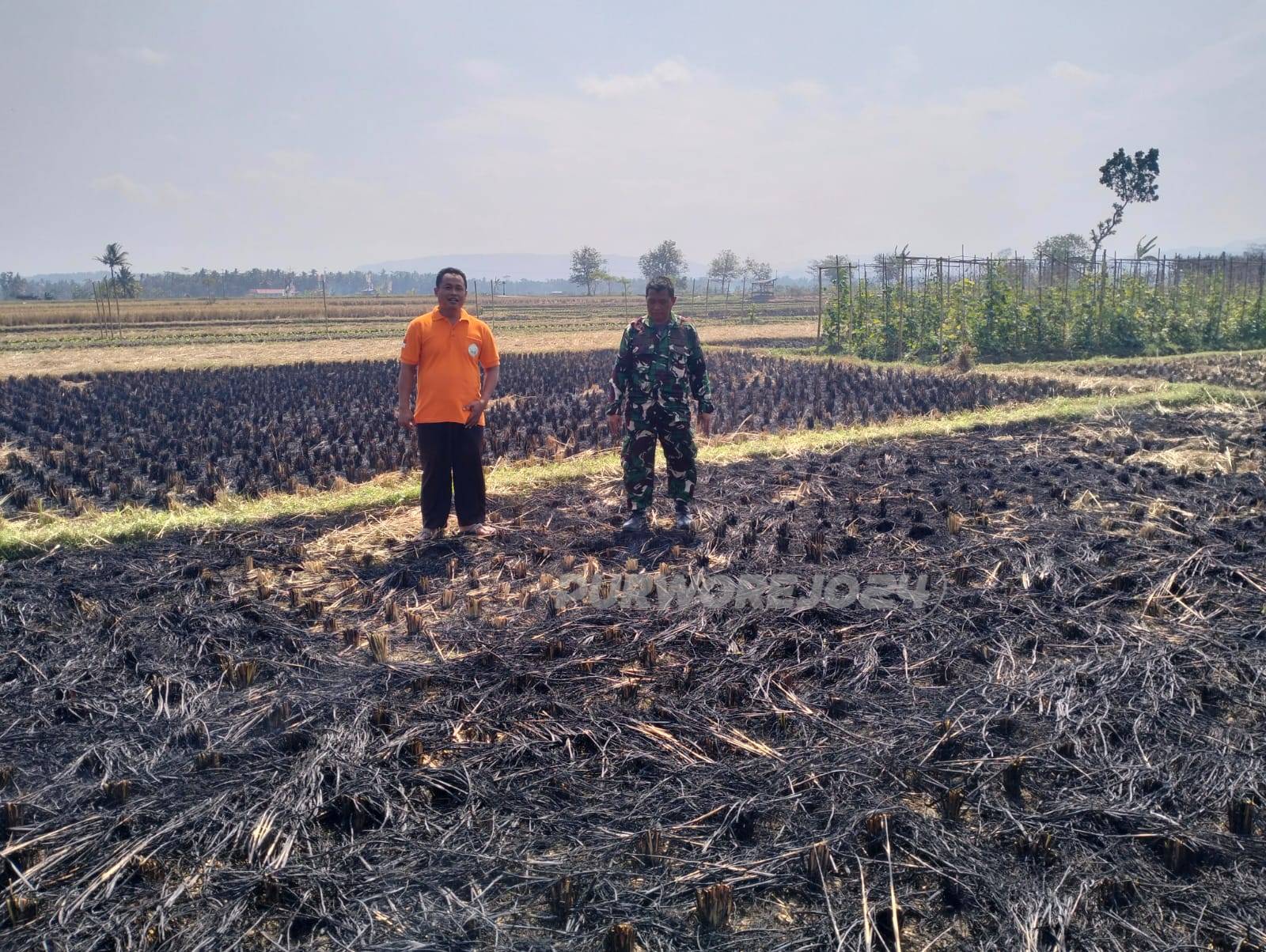 Bekas lahan yang terbakar