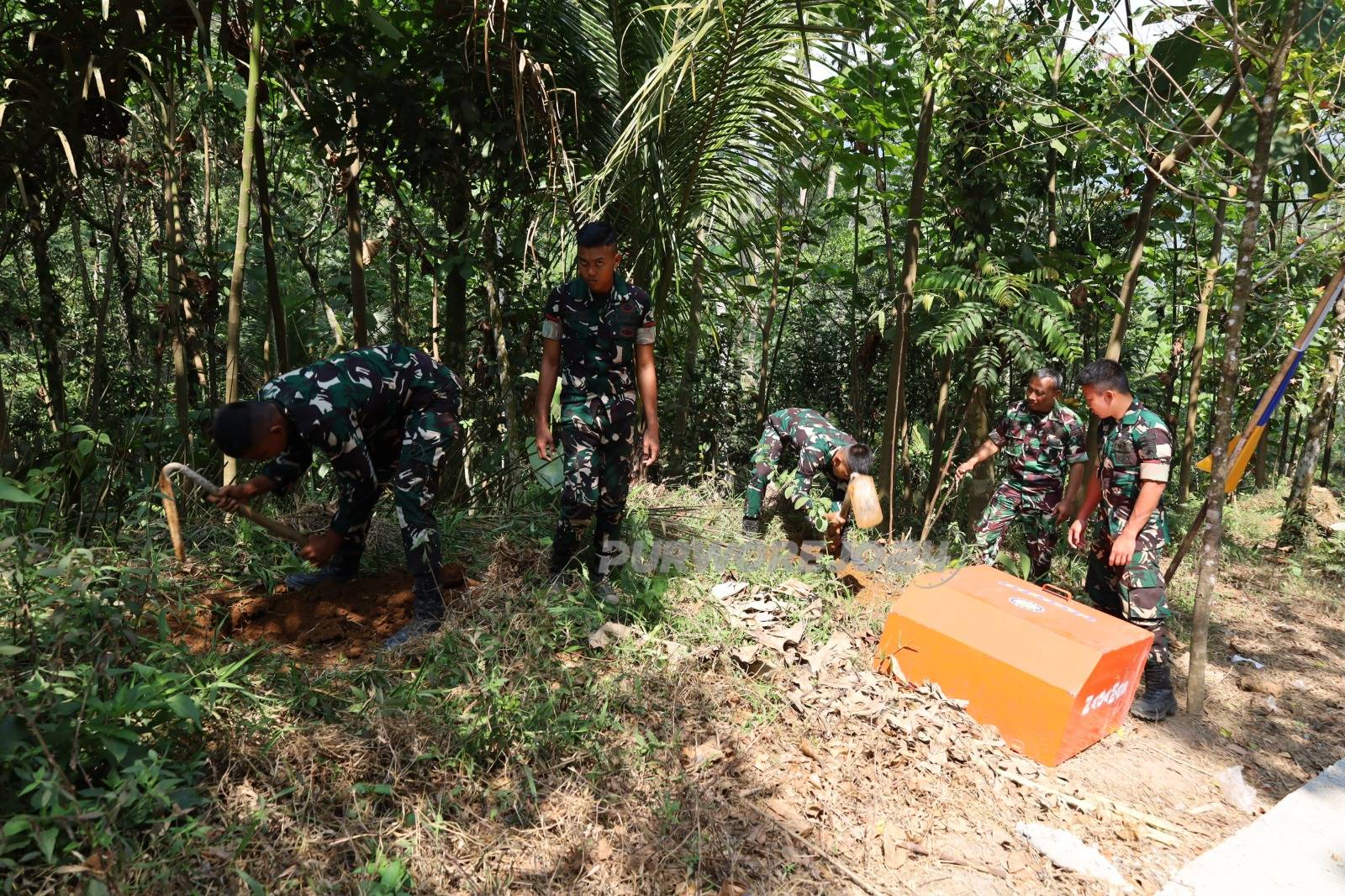 Menyiapkan penghijauan