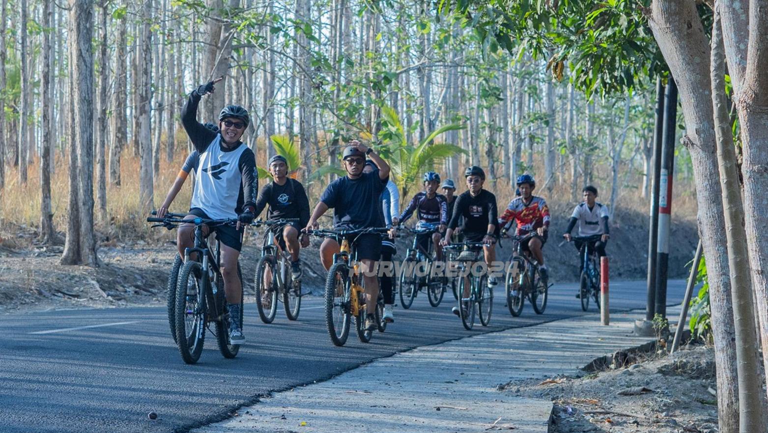 Gowes